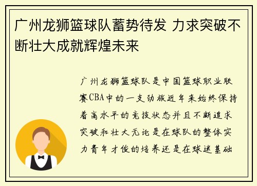 广州龙狮篮球队蓄势待发 力求突破不断壮大成就辉煌未来